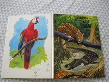 Livre animaux foret d'occasion  Saint-Georges-de-Didonne