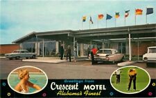 Cartão postal Decatur Alabama 2428 Crescent Motel Ford Thunderbird piscina golfe década de 1960, usado comprar usado  Enviando para Brazil