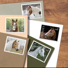 Usps stamps 2024 for sale  New York