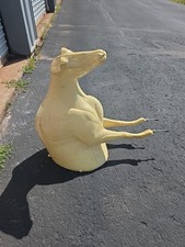 Mckenzie taxidermy mountain for sale  Bessemer