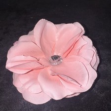 Baby pink rose for sale  New Iberia