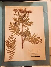 Herbarium pflanzen kräuter gebraucht kaufen  Friedberg (Hessen)