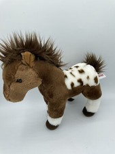 Aurora brown horse for sale  Waterbury