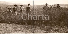 1930 campagna genovese usato  Milano