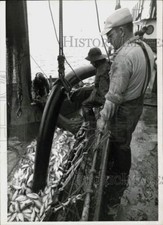 Press photo workers for sale  Memphis