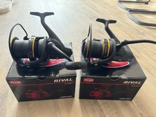 Penn rival rvlg8000lc gebraucht kaufen  Radeberg, Wachau