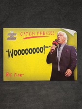 2002 fleer wwe d'occasion  Expédié en Belgium