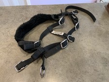 sled dog harness for sale  Newport
