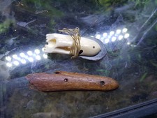 Inuit gebraucht kaufen  Berlin