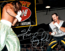 Sabu terry funk for sale  Mckinney