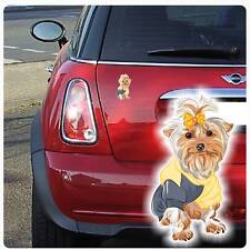 Yorkshire terrier auto gebraucht kaufen  Darmstadt