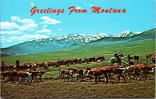 Greetings montana postcard for sale  Molt