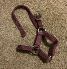 Hamilton weanling nylon for sale  Luther