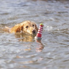 Trixie hundespielzeug aqua gebraucht kaufen  Südbrookmerland