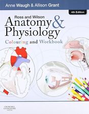Anatomy physiology colouring for sale  LOOE