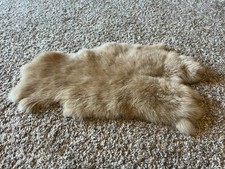 Rabbit fur measures for sale  Madison