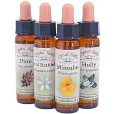 Remédio floral Bach genuíno 10 ml preservado em conhaque orgânico comprar usado  Enviando para Brazil