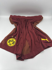 Puma borussia dortmund gebraucht kaufen  Ahlen-Dolberg