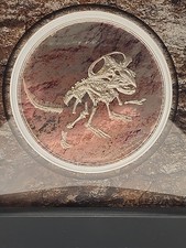 2019 mongolia protoceratops for sale  Missouri City