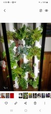 Indoor vertical hydroponic for sale  Luck