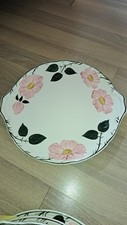 Villeroy boch wildrose gebraucht kaufen  Lohmar