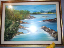 Dipinto olio tela usato  Ardea