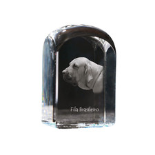 Fila brasileño, Perro de presa brasileño, Fila brasileiro, Cabeçudo boiadeiro se comprar usado  Enviando para Brazil