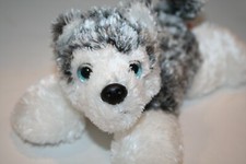 Aurora husky puppy for sale  Alpharetta