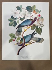1964 audubon band for sale  Portland