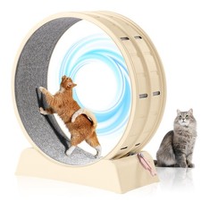 Cats exercise wheel for sale  Flanders