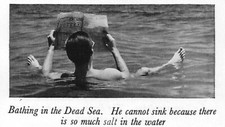 Bathing dead sea for sale  WATERLOOVILLE