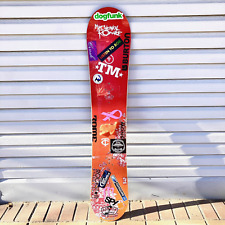 Burton superfly dualzone for sale  Moorhead