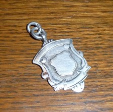 Ebbutt shield silver for sale  CRANLEIGH