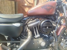 2019 harley davidson for sale  PEACEHAVEN