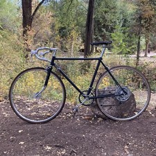 Vintage raleigh classic for sale  Carbondale