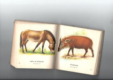 Livre ancien mammiferes d'occasion  Nantes-