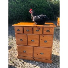 Apothecary pine chest for sale  ABERGAVENNY
