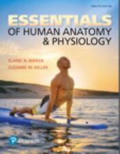 Essentials of Human Anatomy & Physiology - Marieb, Elaine - paperback - Good, usado comprar usado  Enviando para Brazil