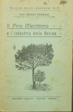 Pino marittimo industria usato  Catania