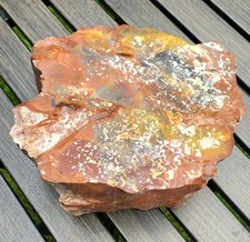 5.8lb natural petrified for sale  Eastlake
