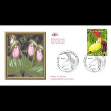 Cef orchidée sabot d'occasion Cef orchidée sabot d'occasion  Crécy-la-Chapelle