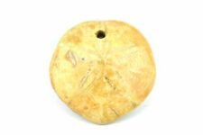 Pendentif oursin fossile d'occasion  Saint-Nazaire