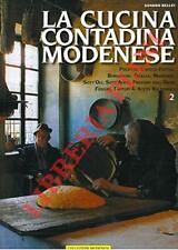 Cucina contadina modenese usato  Italia