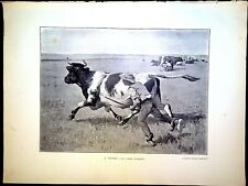 Gravure presse vache d'occasion  France