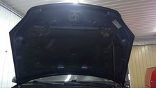 Hood fits cobalt for sale  Mondovi