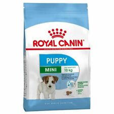 Royal canin cane usato  Carate Brianza