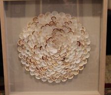 Seashell wall decor for sale  San Diego