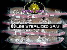80lbs bulk sterilized for sale  Scottsdale