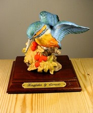 Kingfisher leonardo bird for sale  TAVISTOCK
