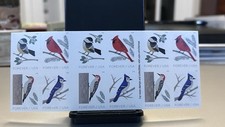Usado, Novo Livro de 20 Selos USPS Forever Série PÁSSAROS NO INVERNO 2017 - ESTADO PERFEITO FB $14.60 comprar usado  Enviando para Brazil